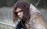 neanderthol